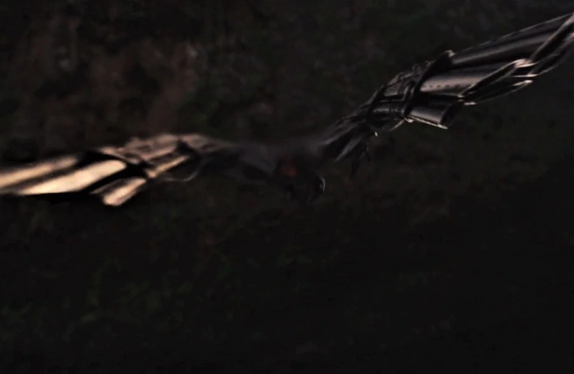 The Falconer Drone from Predators (2010)