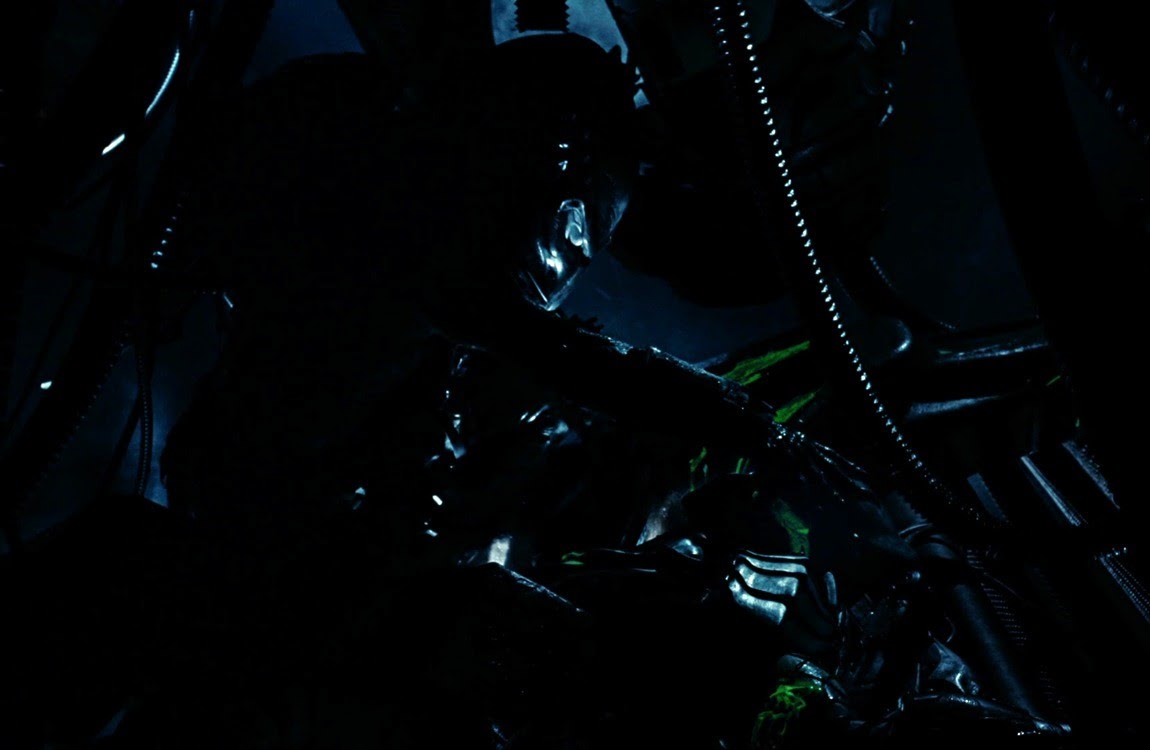 Wolf Predator mourning a fallen comrade