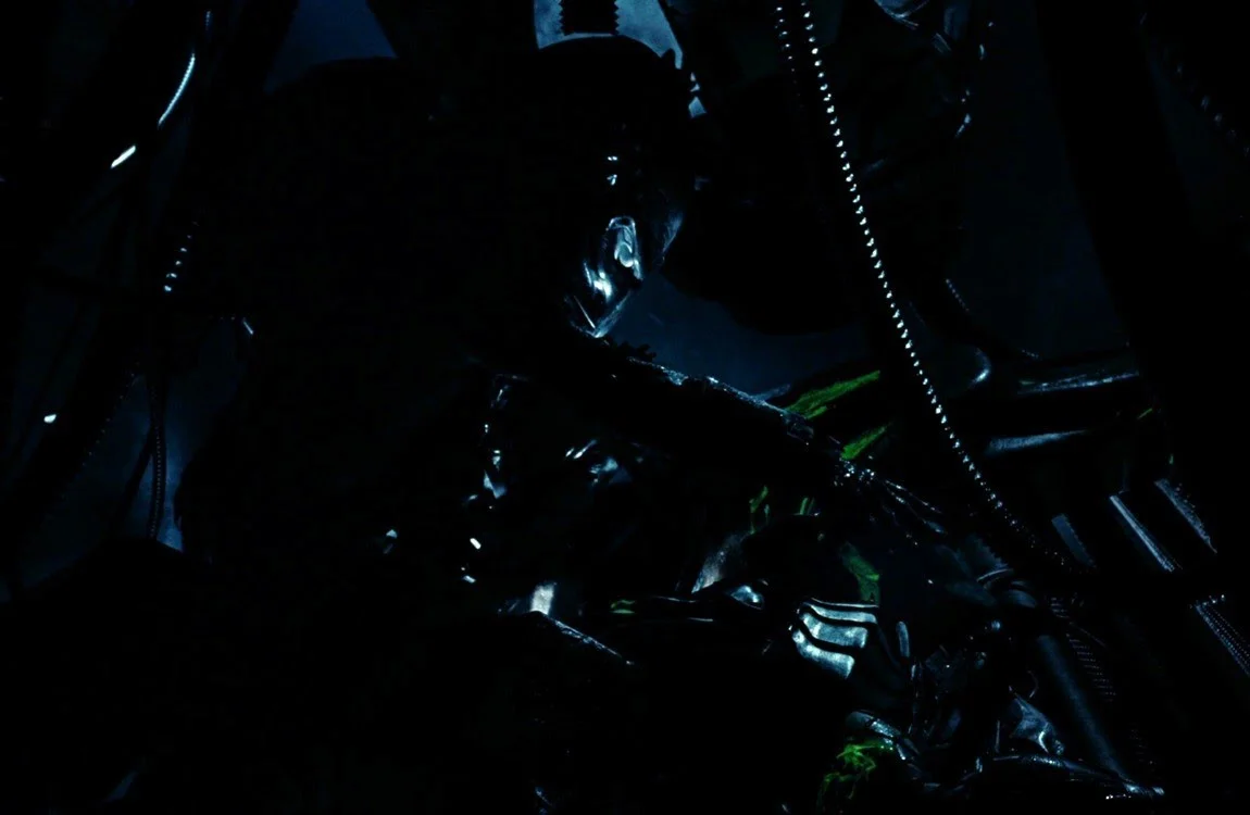 Wolf Predator mourning a fallen comrade