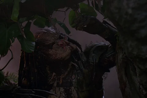 The Jungle Hunter Predator laughing in the jungle