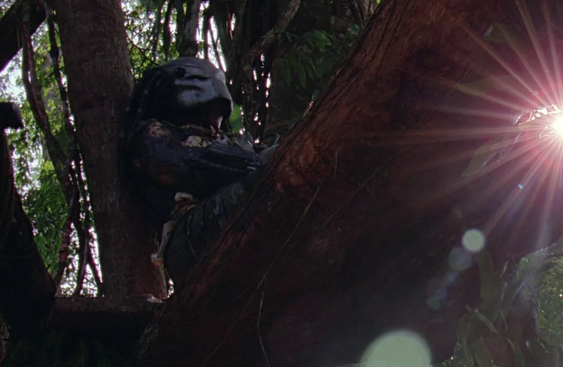 The Jungle Hunter Predator resting on a tree branch