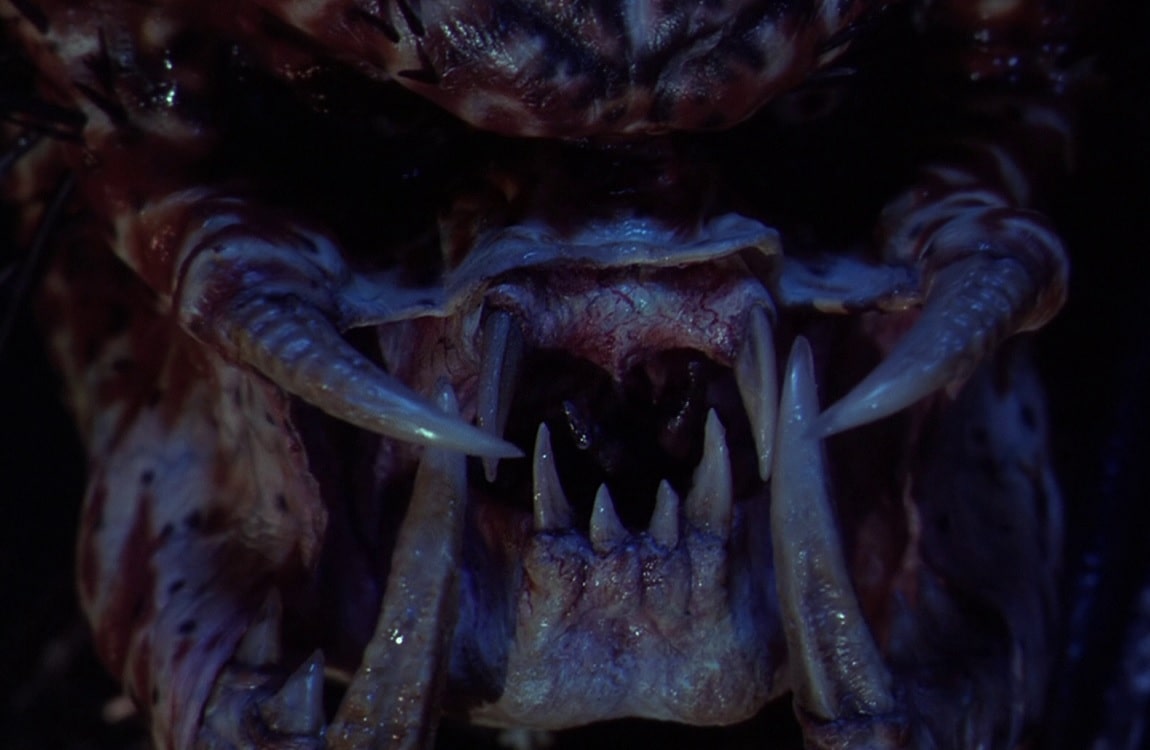 The forked tongue of the City Hunter in Predator 2
